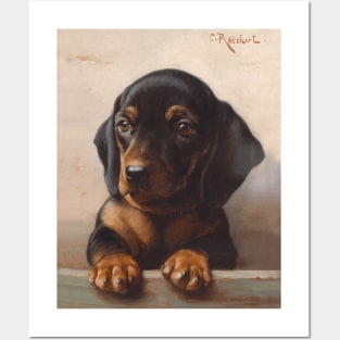 Dachshund Puppy (circa 1900) by Carl Reichert Posters and Art